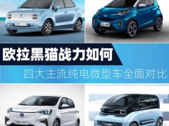 欧拉黑猫战力如何 四大主流纯电微型车全面对比