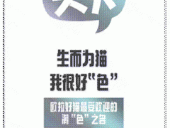 “悬赏”征名尘埃落定！欧拉好猫潮“色”之名新鲜出炉