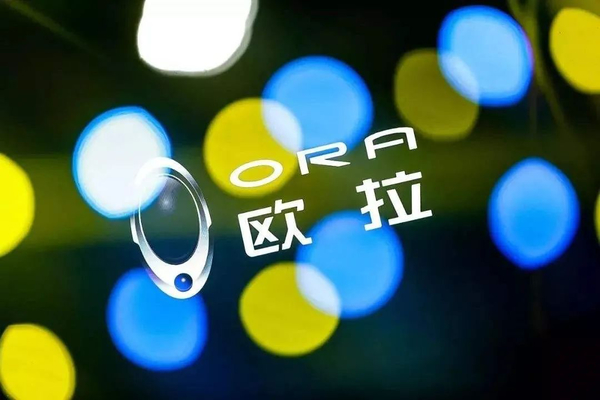 不开玩笑，欧拉好猫果真打开了一个新世代市场